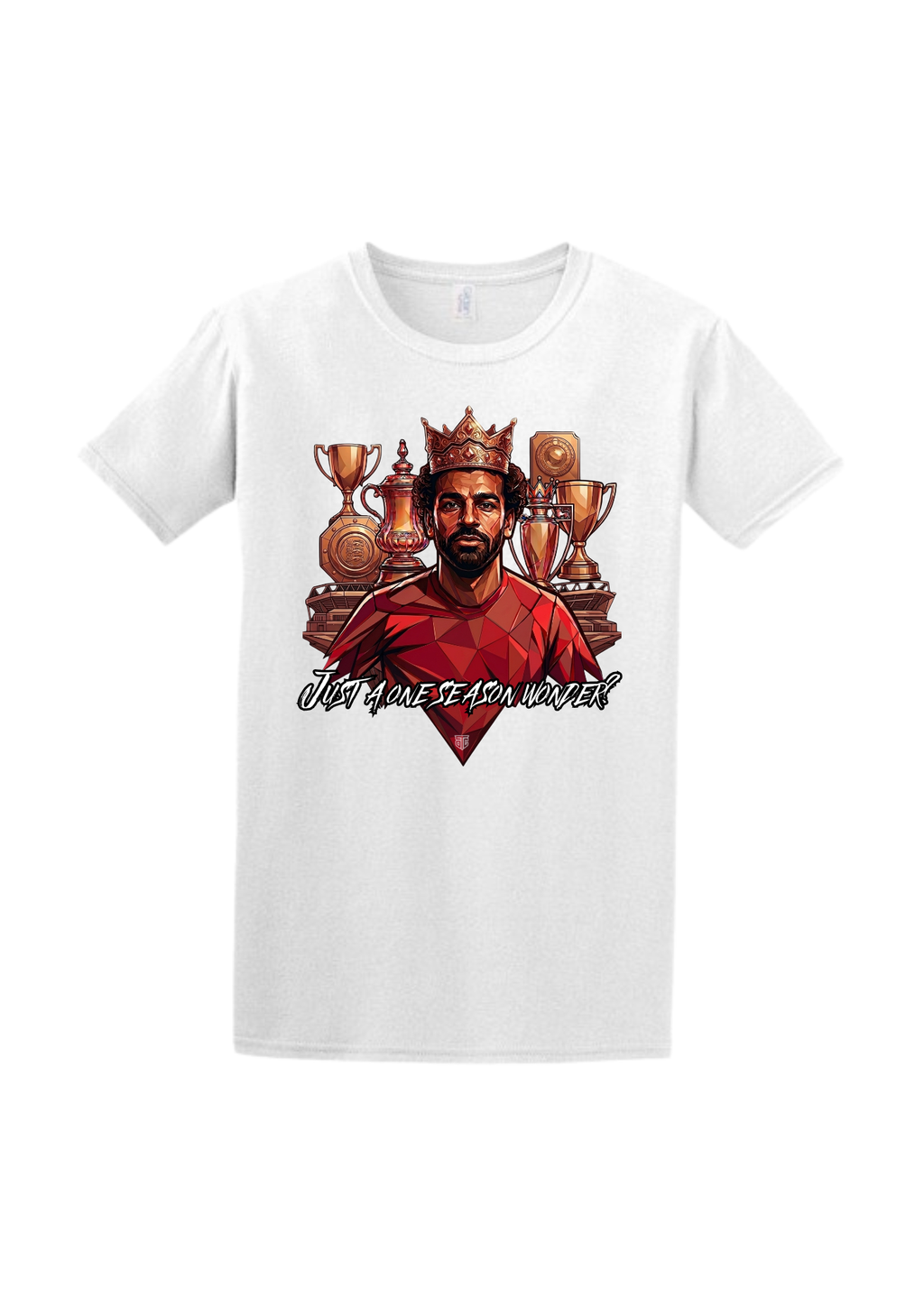 Spirit of the city -The "One Season Wonder" Heavyweight Graphic Tee