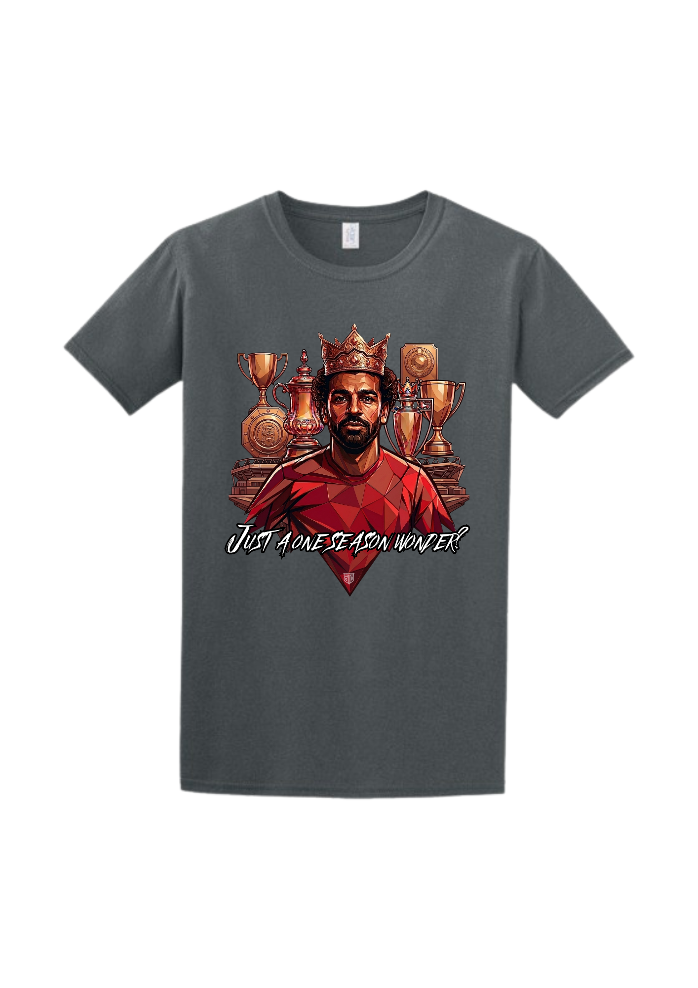 Spirit of the city -The "One Season Wonder" Heavyweight Graphic Tee