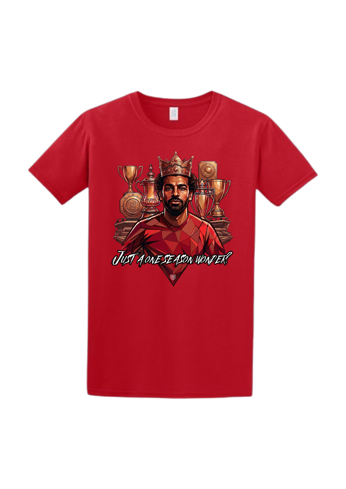 Spirit of the city -The "One Season Wonder" Heavyweight Graphic Tee